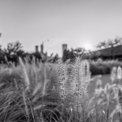 Veterans Park