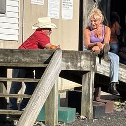 Echo Lake Stables - Horse tales