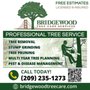 Bridgewood Tree Care
