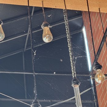 Trenchers Kitchen & Tap - Spiderwebs all over lights. - Gastropubs Near Me - Renton, Washington Trenchers Kitchen & Tap - Spiderwebs all over lights. - Gastropubs Near Me - Renton, Washington