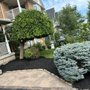 Photo of Moose Landscaping
