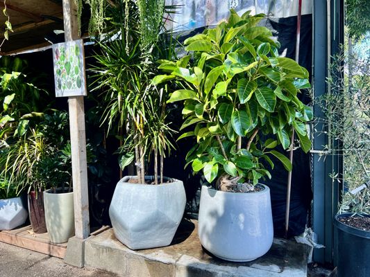 City Home & Garden, Inc by null
