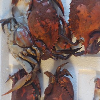 The Crab Place - Seafood Near Me - Crisfield, Maryland The Crab Place - Seafood Near Me - Crisfield, Maryland
