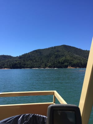 Antlers Resort and RV park by null