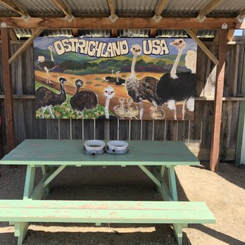 Ostrichland USA - Attraction Farms Near Me - Solvang, California Ostrichland USA - Attraction Farms Near Me - Solvang, California
