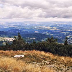 Miejska Kolej Linowa - An der Bergstation (01/2026)