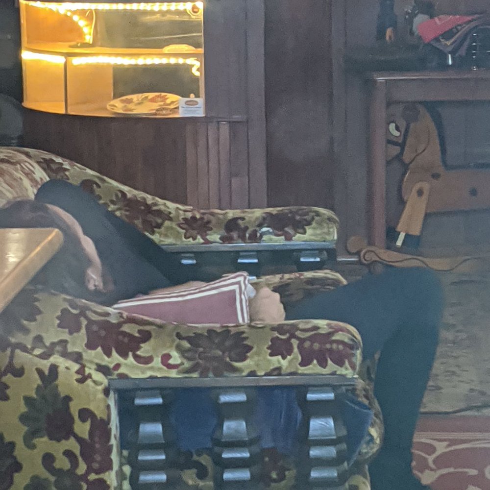 A Muddy Cup - The only employee asleep on the couch inside - Coffee & Tea Near Me - Seattle, Washington