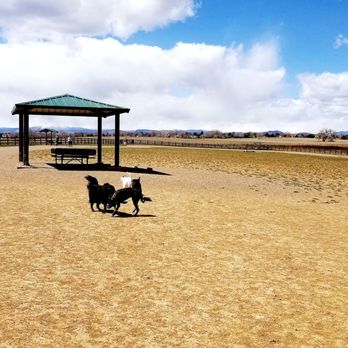 Great Bark Park - Shaded bench area - Dog Parks Near Me - Lafayette, Colorado Great Bark Park - Shaded bench area - Dog Parks Near Me - Lafayette, Colorado