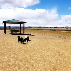 Great Bark Park - Shaded bench area