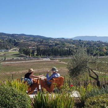 Cougar Vineyard & Winery - February 2021 - Wineries Near Me - Temecula, California Cougar Vineyard & Winery - February 2021 - Wineries Near Me - Temecula, California