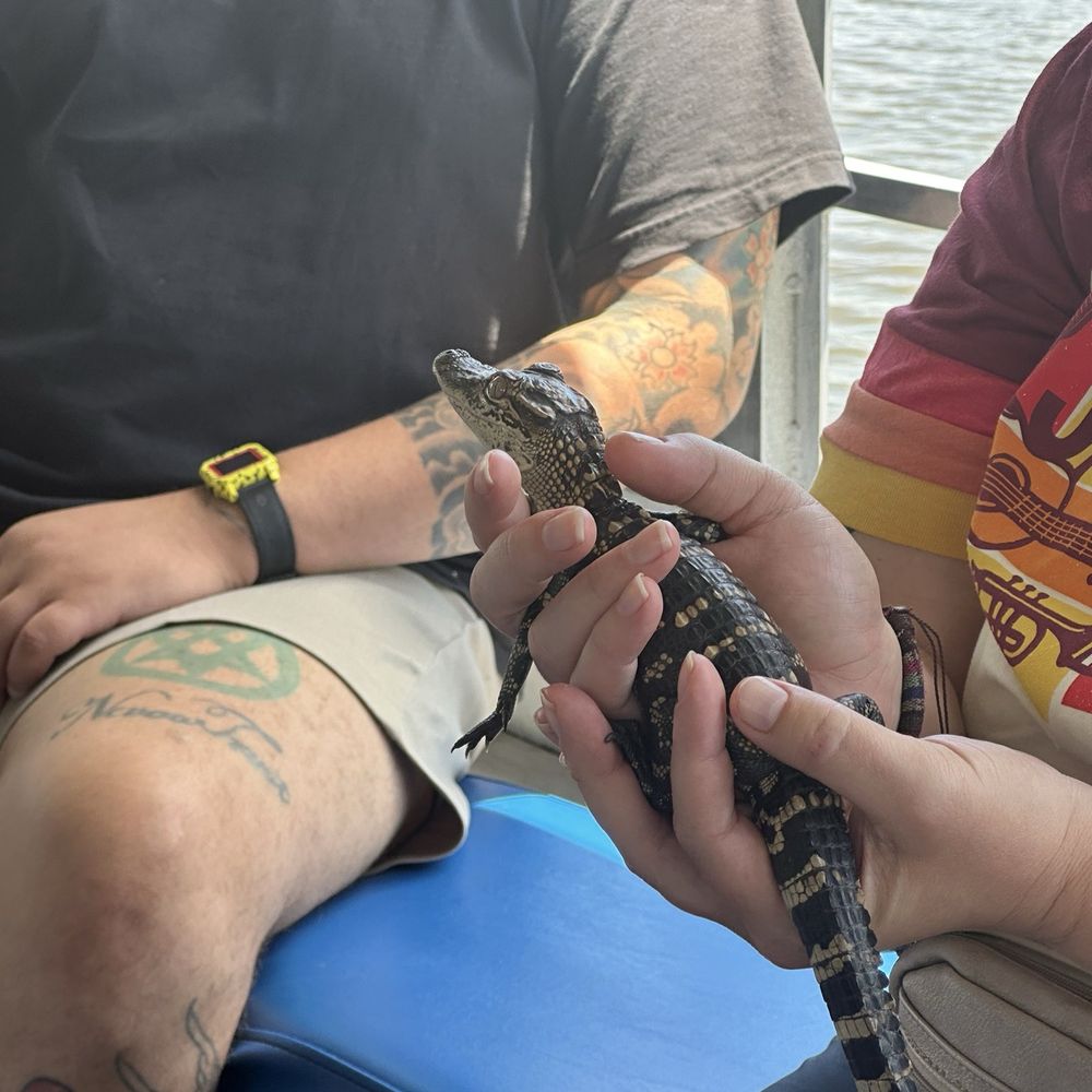 Big Easy Swamp Adventures - Open baby alligator on a tour - Fishing Near Me - New Orleans, Louisiana Big Easy Swamp Adventures - Open baby alligator on a tour - Fishing Near Me - New Orleans, Louisiana