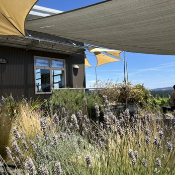 Raptor Ridge Winery - Pretty lavender! - Wineries Near Me - Newberg, Oregon Raptor Ridge Winery - Pretty lavender! - Wineries Near Me - Newberg, Oregon