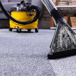 Bee's Cleaning Services