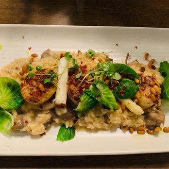 OLIVIA - Scallop - Italian Near Me - Tampa, Florida OLIVIA - Scallop - Italian Near Me - Tampa, Florida