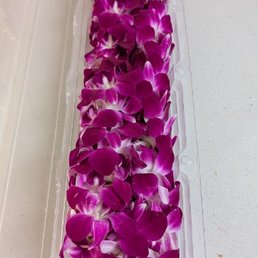Double purple Double purple