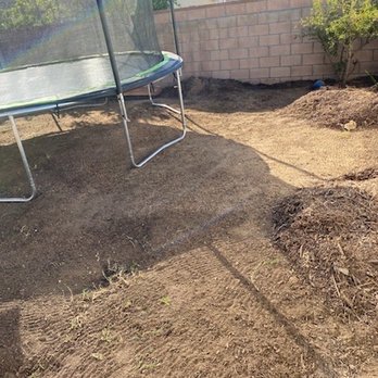 Vicente Tree Services and Landscape - Before - Landscaping Near Me Vicente Tree Services and Landscape - Before - Landscaping Near Me