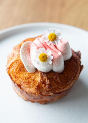 Starter Bakery by null