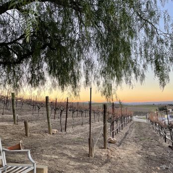 Tenuta Vineyards - Wineries Near Me - Livermore, California Tenuta Vineyards - Wineries Near Me - Livermore, California