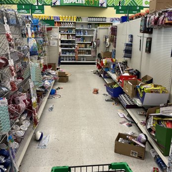 Dollar Tree - Someone can get hurt walking around the aisles with boxes falling and products on the floor. - Discount Store Near Me - Indianapolis, Indiana