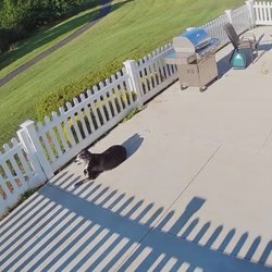 Classic Fence