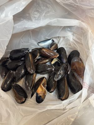 Half Moon Bay Fish Market by null