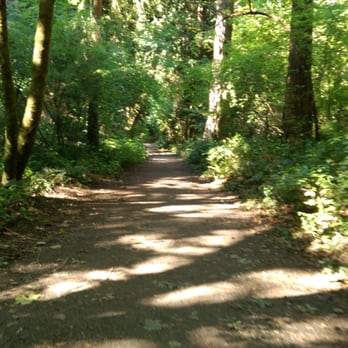 Seward Park Audubon Center - One of the paths in between the loops that takes you straight down the middle. - Visitor Centers Near Me - Seattle, Washington Seward Park Audubon Center - One of the paths in between the loops that takes you straight down the middle. - Visitor Centers Near Me - Seattle, Washington