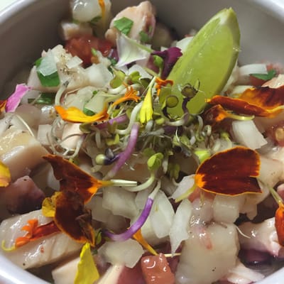 Mano De Santo by null