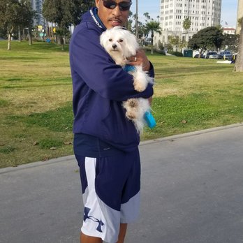 Mr. Bulldog - Jack Frost is our new Baby. - Pet Groomers Near Me - Pico Rivera, California Mr. Bulldog - Jack Frost is our new Baby. - Pet Groomers Near Me - Pico Rivera, California