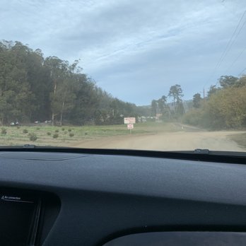 4-C's Christmas Tree Farm - Christmas Trees Near Me - Half moon Bay, California