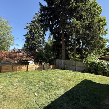 Integrity Tree Works - Cleaned up everything - Tree Services Near Me - Newcastle, Washington Integrity Tree Works - Cleaned up everything - Tree Services Near Me - Newcastle, Washington