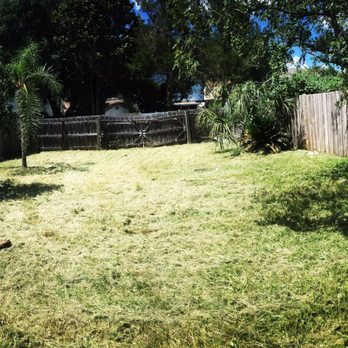 Freeman's All Purpose Services LLC - "After" picture! Looks GREAT. Thank you !! - Landscaping Near Me Freeman's All Purpose Services LLC - "After" picture! Looks GREAT. Thank you !! - Landscaping Near Me