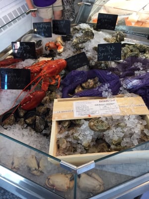 Gus & Co. Seafood Market by null