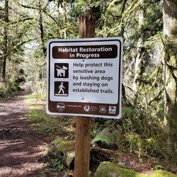 Bonnie Lure Park