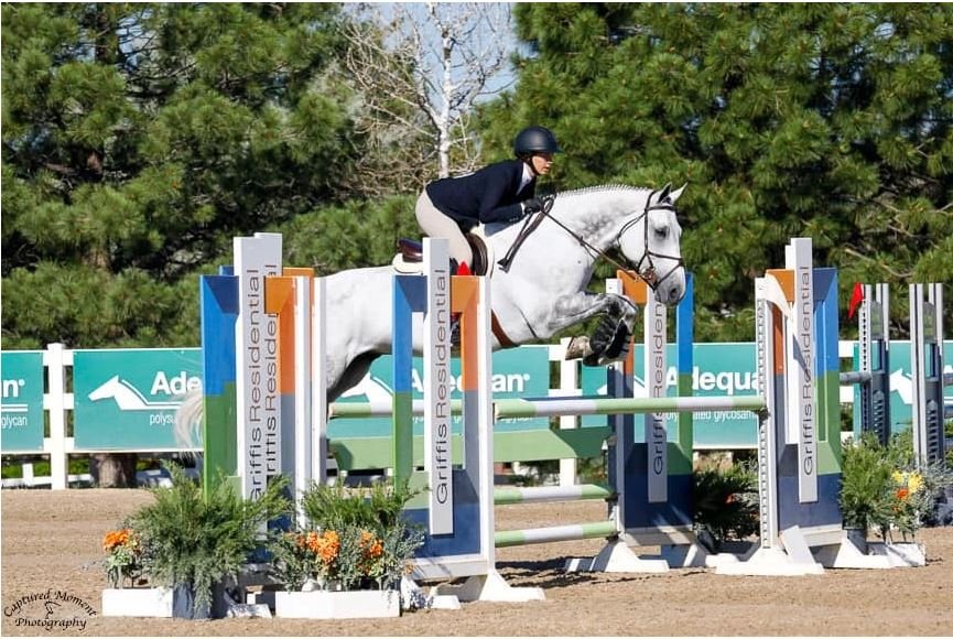 Elterra Equestrian Logo