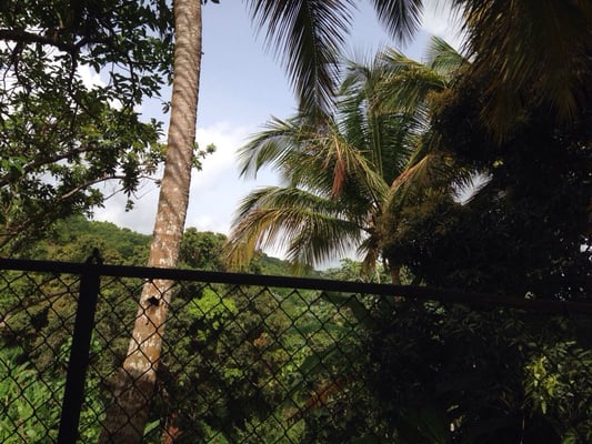 Ceiba Country Inn Bed & Breakfast by null