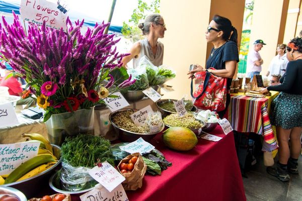 Viejo San Juan Farmers Market by null