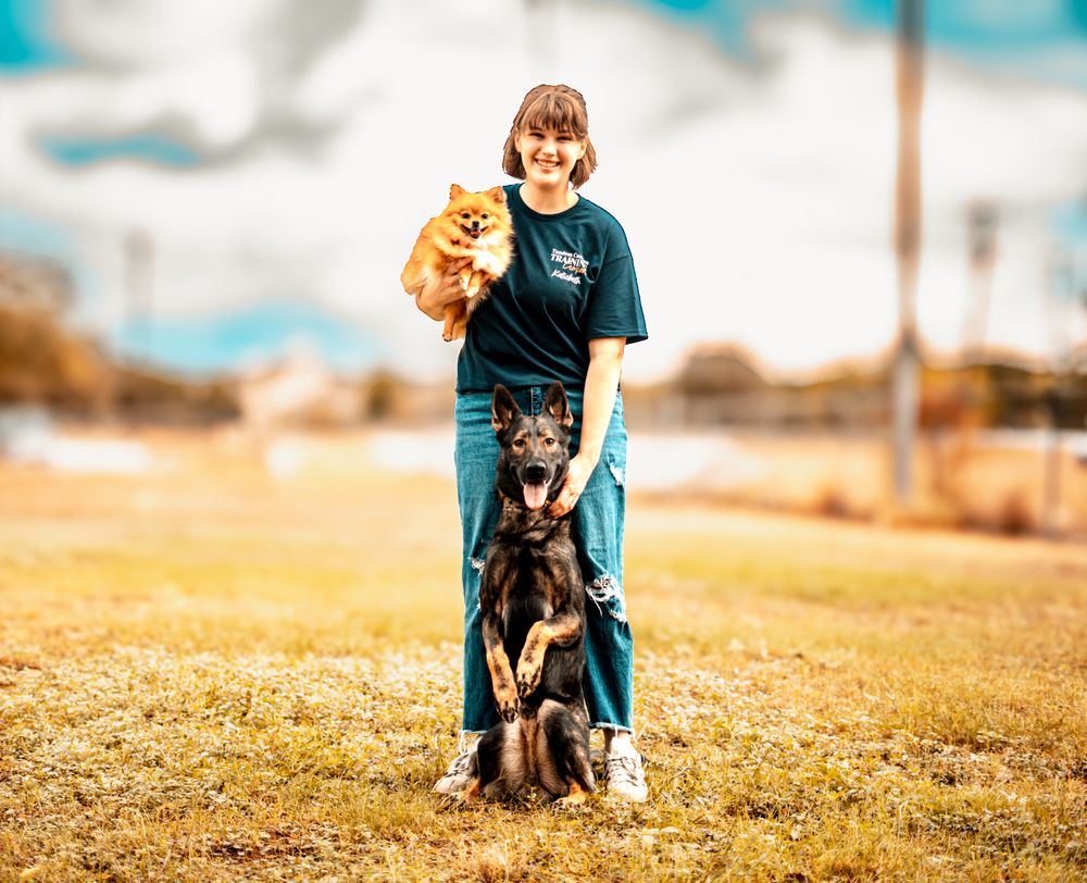 Tandem Canines Pet Resort Image