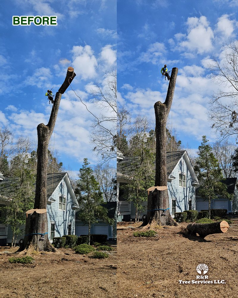 R&R Tree Services - tree service in Summerville, SC