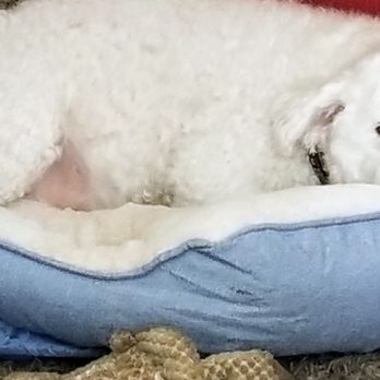 CVS Pharmacy - Serving Spring Valley, CA - Updated November 2025 - 32 ...