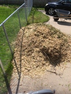 Randys Tree Trimming - tree service in Grand Rapids, MI