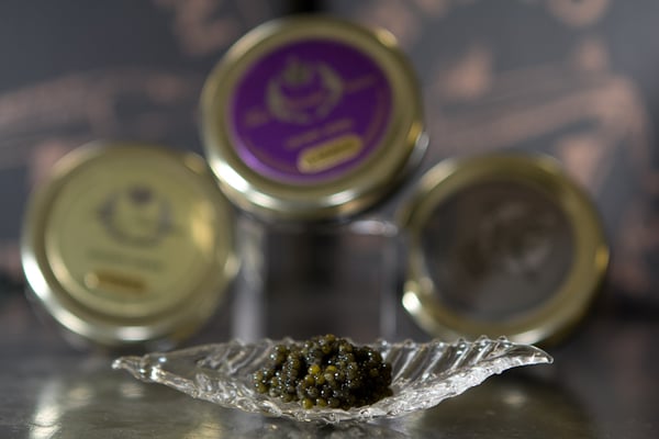 Tsar Nicoulai Caviar by null