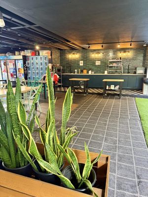 Polynesian Hostel Beach Club by null