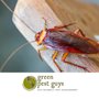 Photo of Green Pest Guys