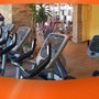 Photo of Wellness & Fitness