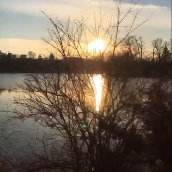 Hoyt Lake Row Boats - Boat Charters Near Me Hoyt Lake Row Boats - Boat Charters Near Me