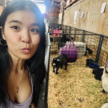 Washington State Fair - Festivals Near Me - Puyallup, Washington Washington State Fair - Festivals Near Me - Puyallup, Washington