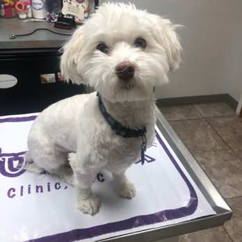 Sue's Animal Clinic, MD - Checkup time! - Veterinarians Near Me - Bellbrook, Ohio Sue's Animal Clinic, MD - Checkup time! - Veterinarians Near Me - Bellbrook, Ohio