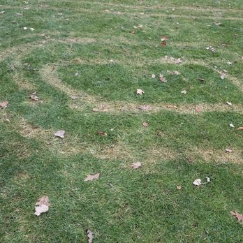 TruGreen Lawn Care - Tire damage from Trugreen. - Tree Services Near Me - Rochester, New York TruGreen Lawn Care - Tire damage from Trugreen. - Tree Services Near Me - Rochester, New York