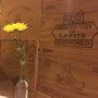 Photo of Restaurante Roma Mia