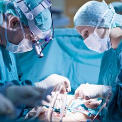 Die Herzspezialisten | Kardiologie Berlin - Herzchirurgie Berlin
